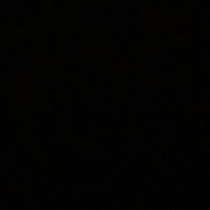 Meet your Posher, Gigi